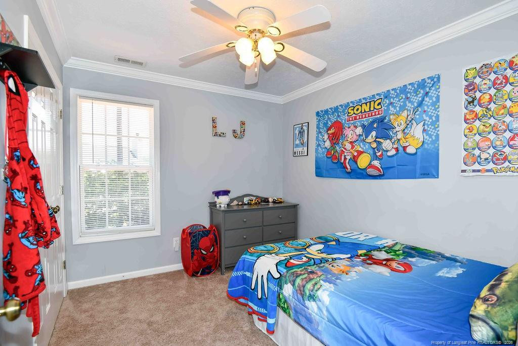 256 Arlington Drive Property Photo 20