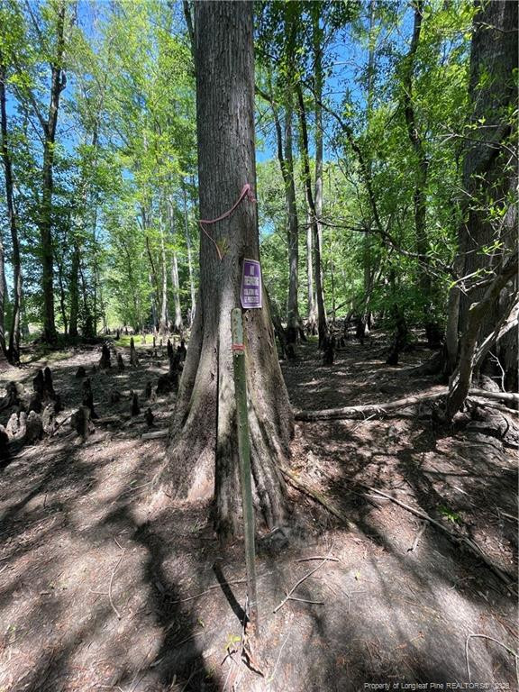 8511 Nc 210 Highway W Property Photo 4