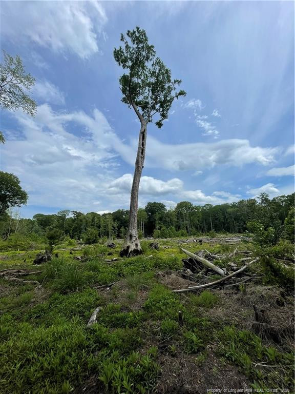 8511 Nc 210 Highway W Property Photo 8