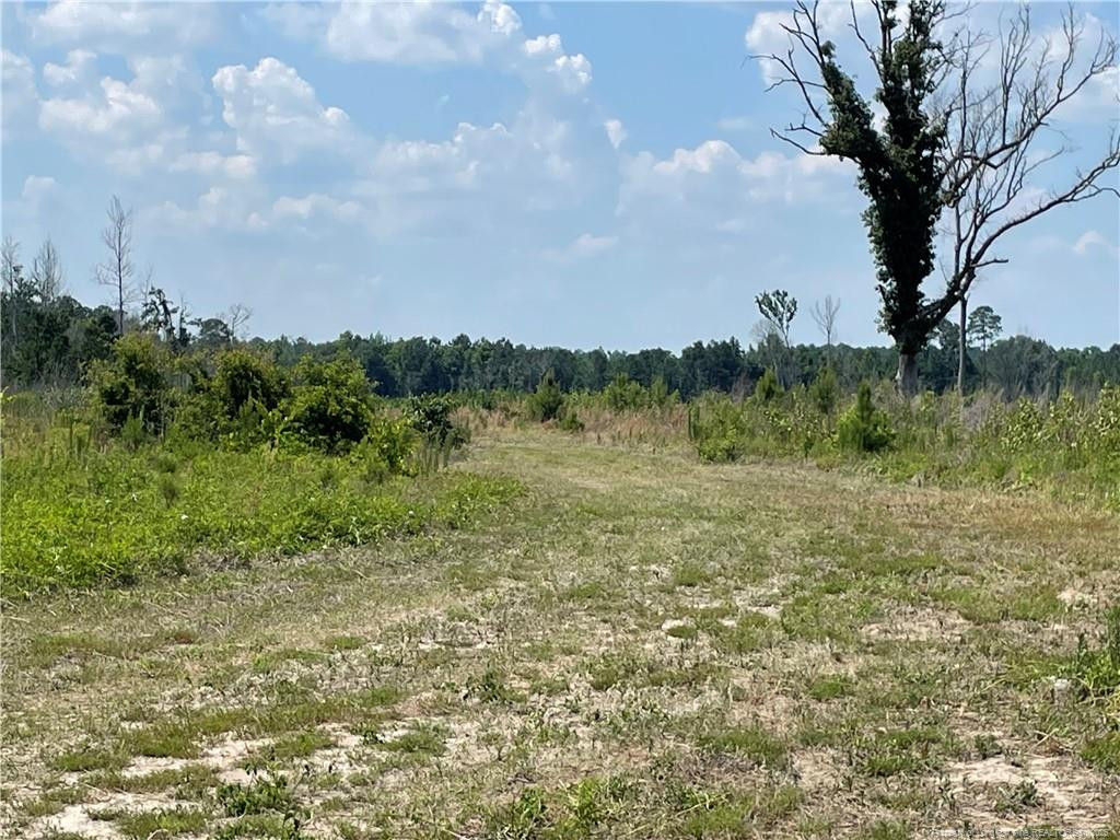 8511 Nc 210 Highway W Property Photo 12