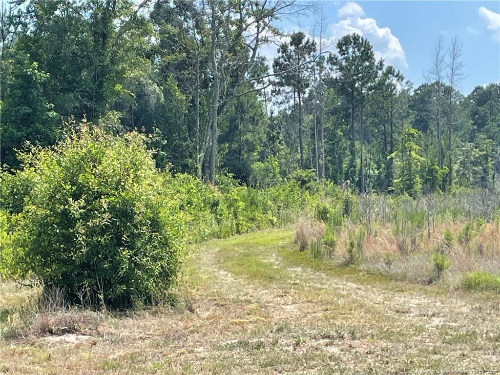 8511 Nc 210 Highway W Property Photo 13