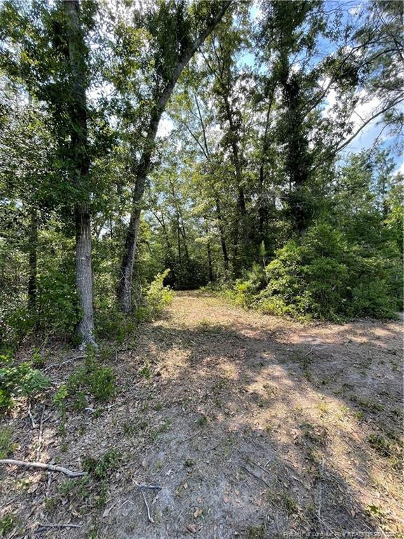 8511 Nc 210 Highway W Property Photo 15
