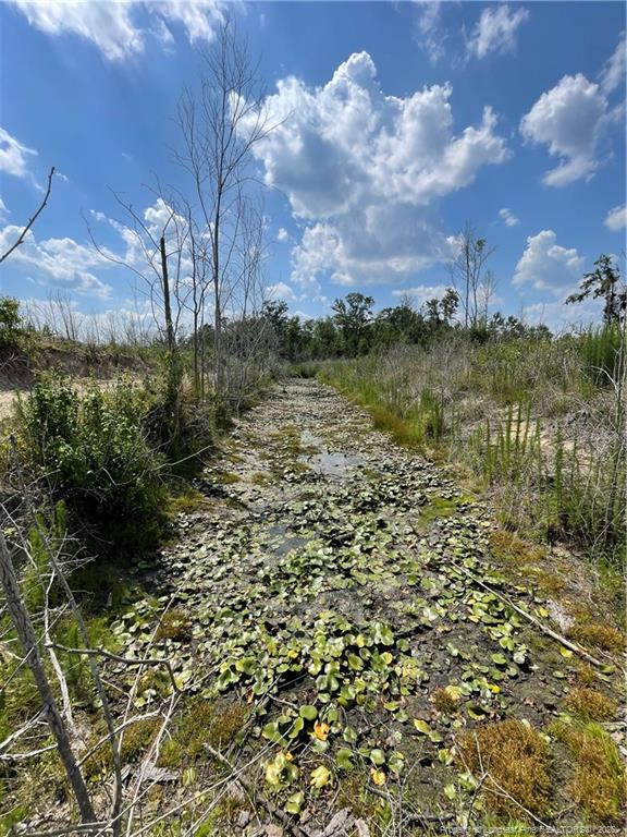 8511 Nc 210 Highway W Property Photo 16