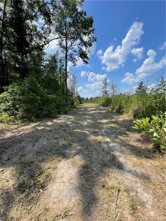8511 Nc 210 Highway W Property Photo 20