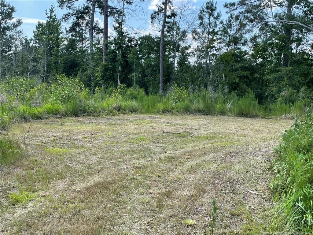 8511 Nc 210 Highway W Property Photo 21