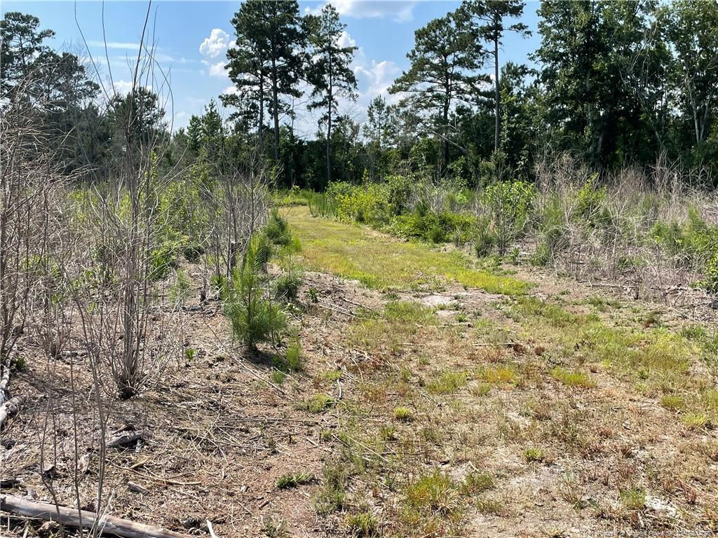 8511 Nc 210 Highway W Property Photo 22