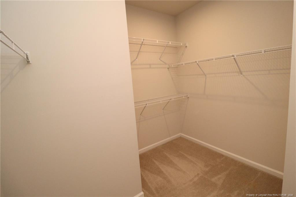 1242 Channing Park Circle Property Photo 28