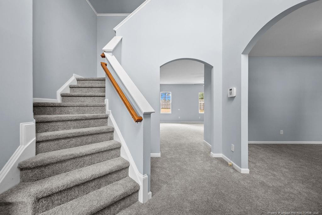 14 Citadel Street Property Photo 5