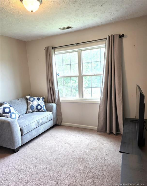 1232 Jereens Creek Road Property Photo 17