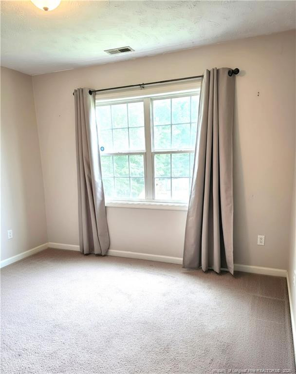 1232 Jereens Creek Road Property Photo 19