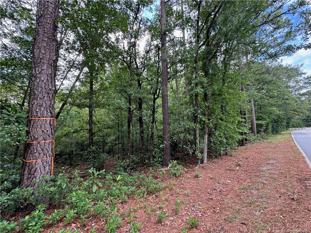 Tbd Myra Road Property Photo 13