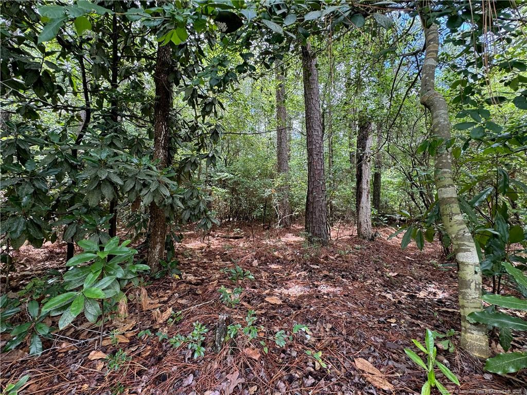 Tbd Myra Road Property Photo 15