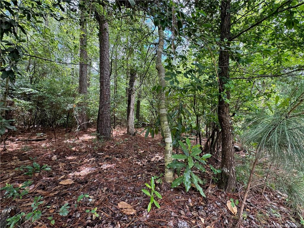 Tbd Myra Road Property Photo 16