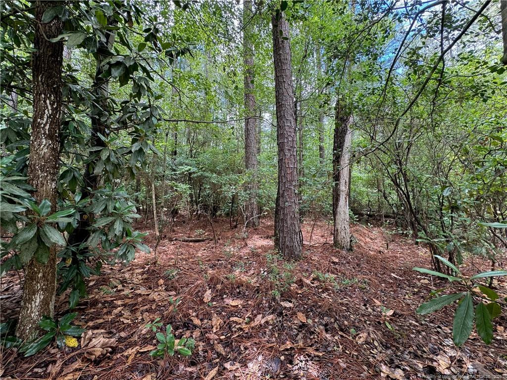 Tbd Myra Road Property Photo 17