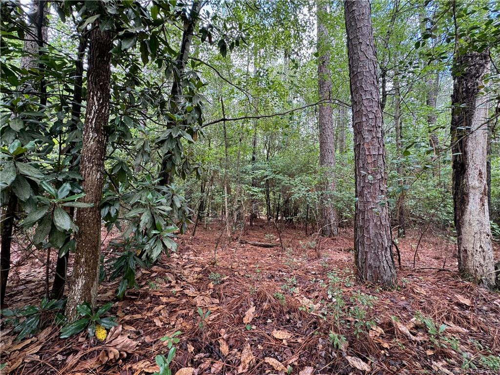 Tbd Myra Road Property Photo 18