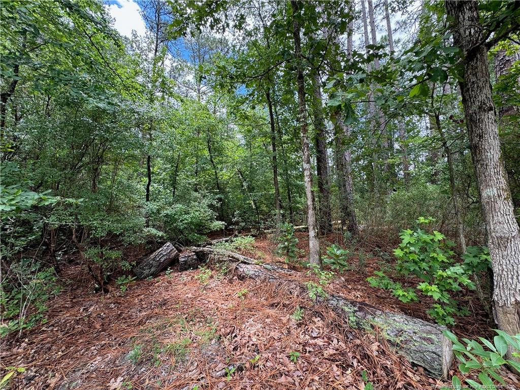 Tbd Myra Road Property Photo 19