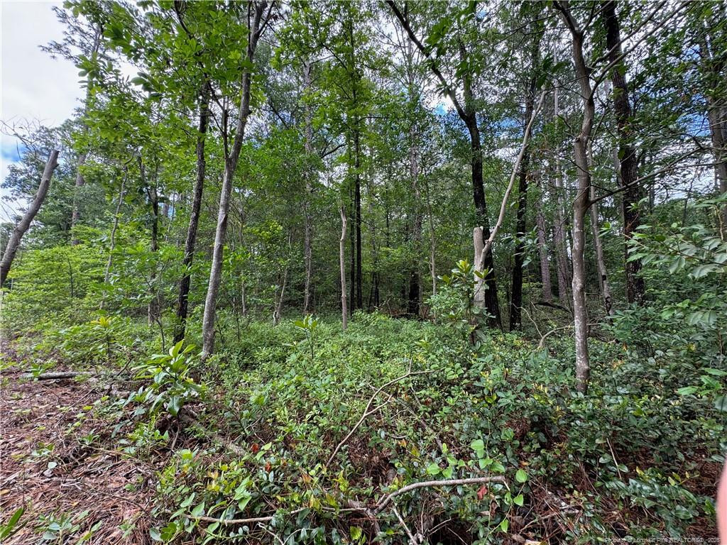 Tbd Myra Road Property Photo 21