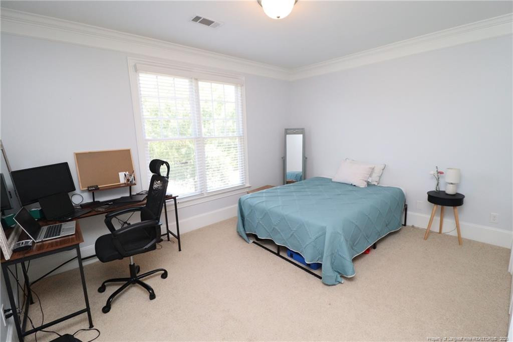 933 Portstewart Drive Property Photo 25