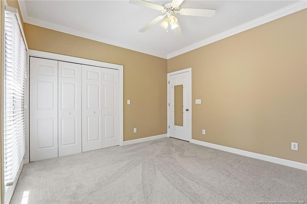 27 Mcmichael Drive Property Photo 45