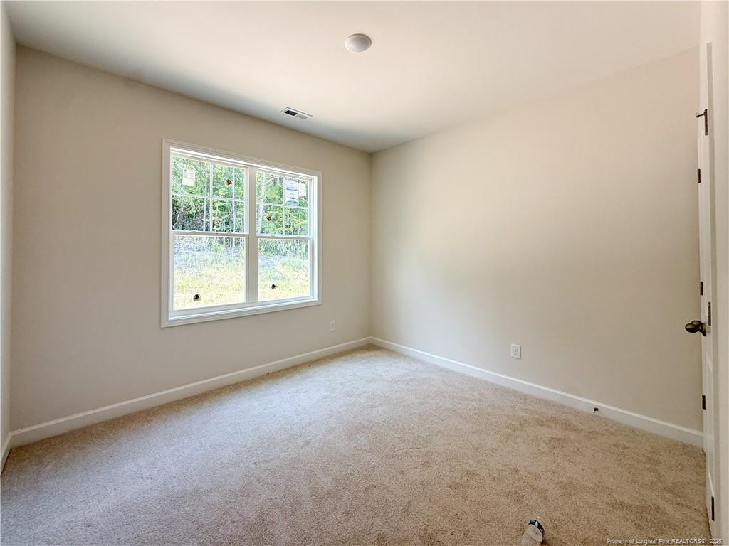 161 Blackburn Farm (lot 8) Drive Property Photo 6