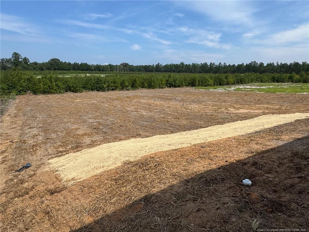 238 Ashley Heights (lot 101) Drive Property Photo 15
