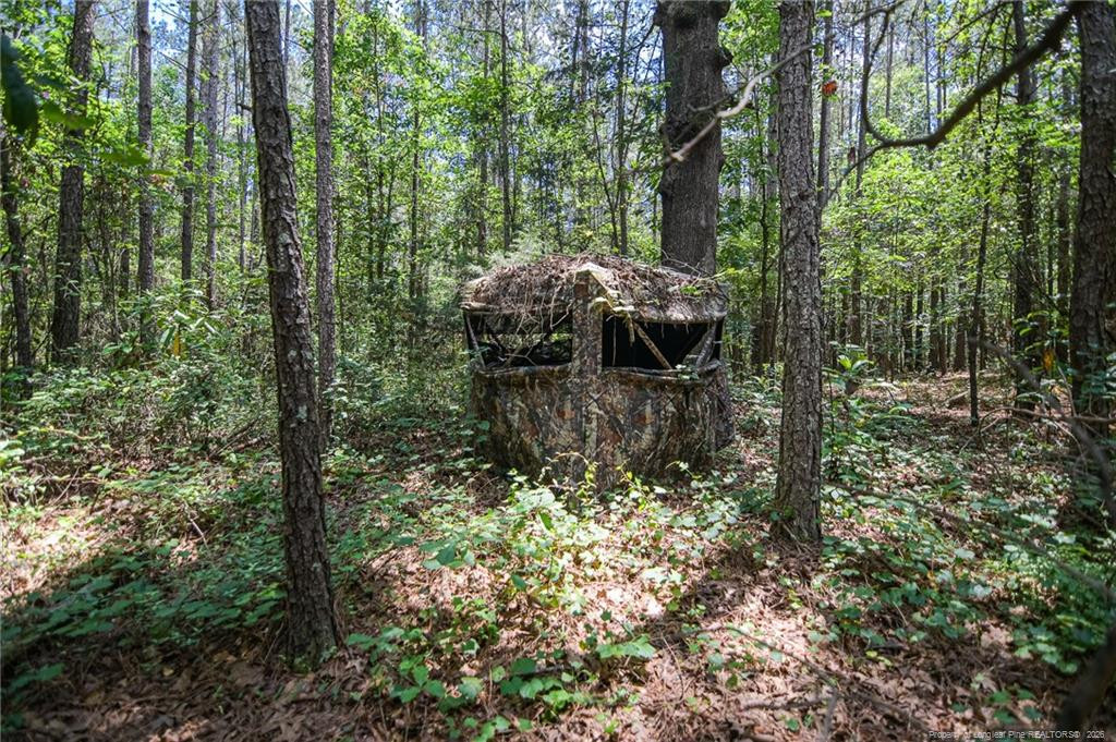 21181 Traders Road Property Photo 43