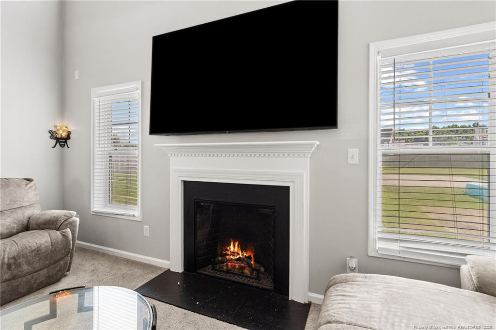 6613 Planters Row Drive Property Photo 10