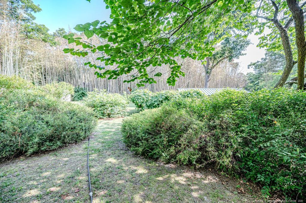 524 Carthage Street Property Photo 37