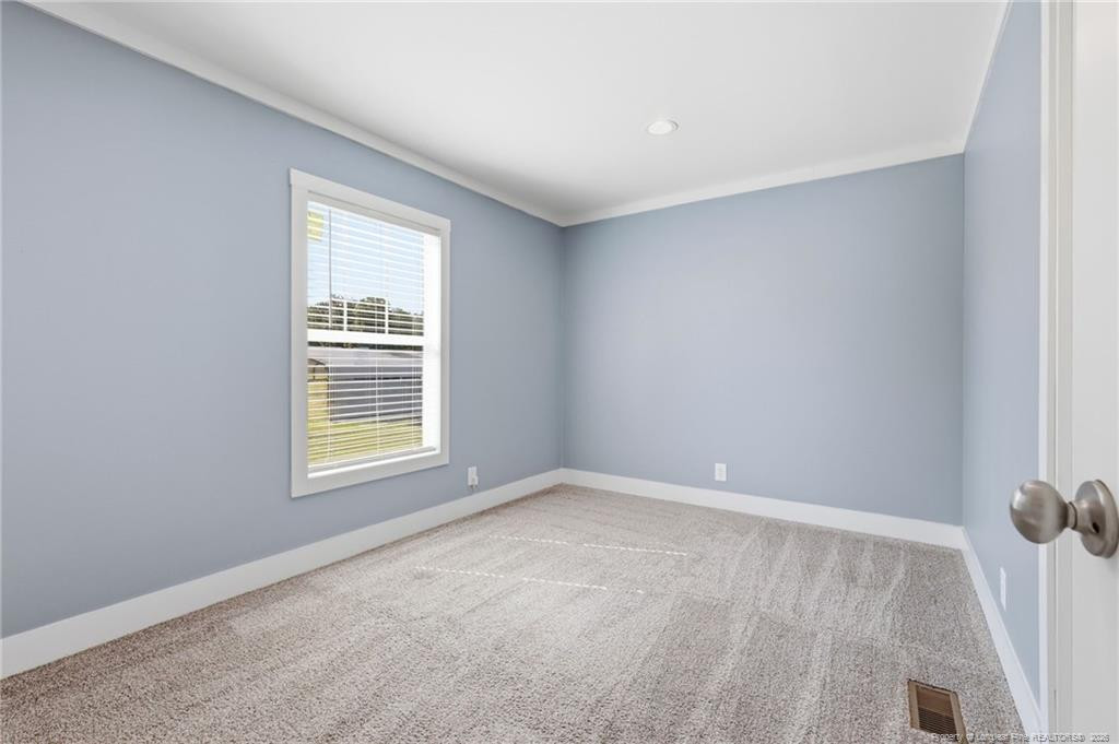 115 Mciver Road Property Photo 19