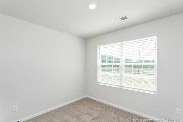 29 Laforce Lane Property Photo 16