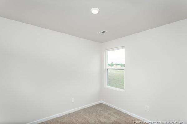 29 Laforce Lane Property Photo 17