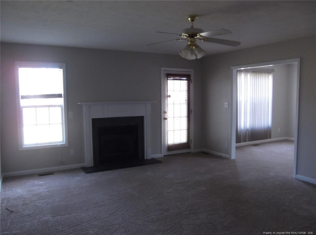 2937 Piney Mountain Drive Property Photo 4