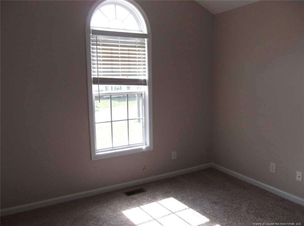2937 Piney Mountain Drive Property Photo 14
