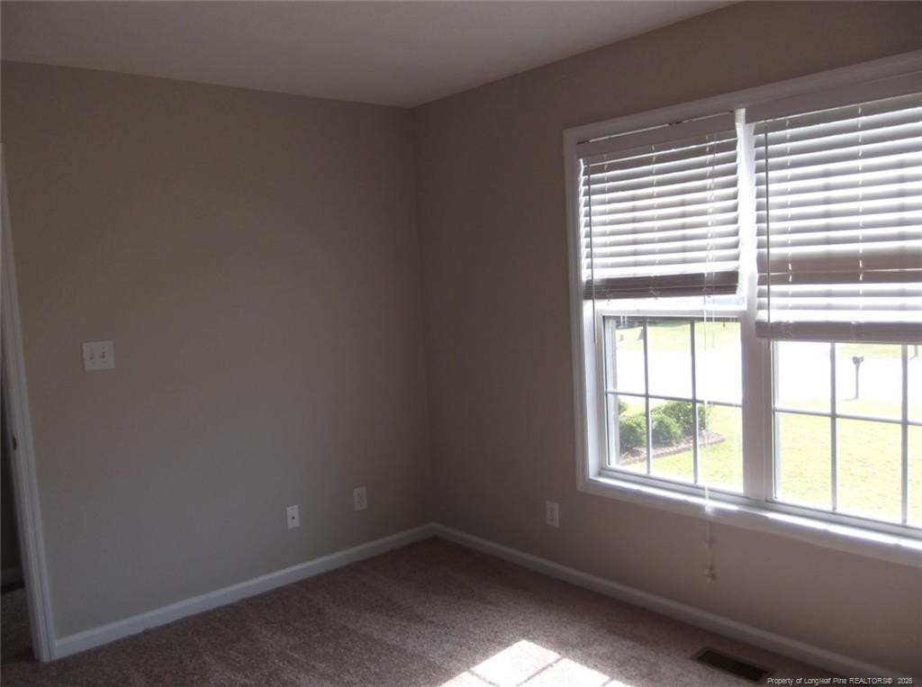 2937 Piney Mountain Drive Property Photo 15