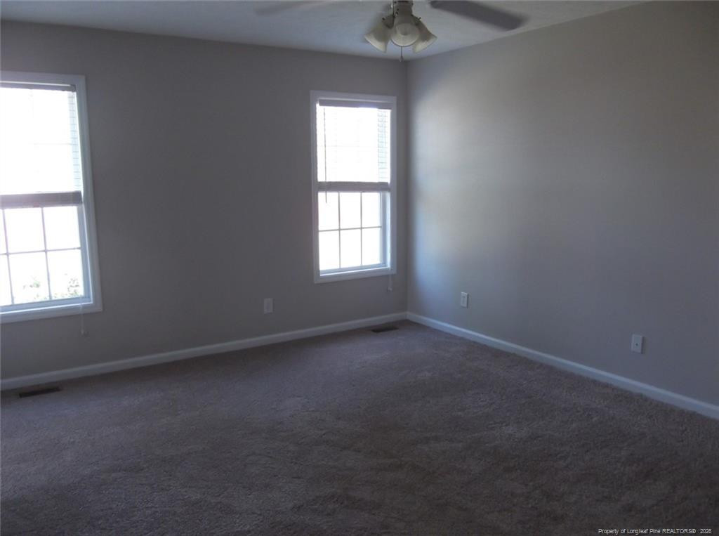 2937 Piney Mountain Drive Property Photo 18