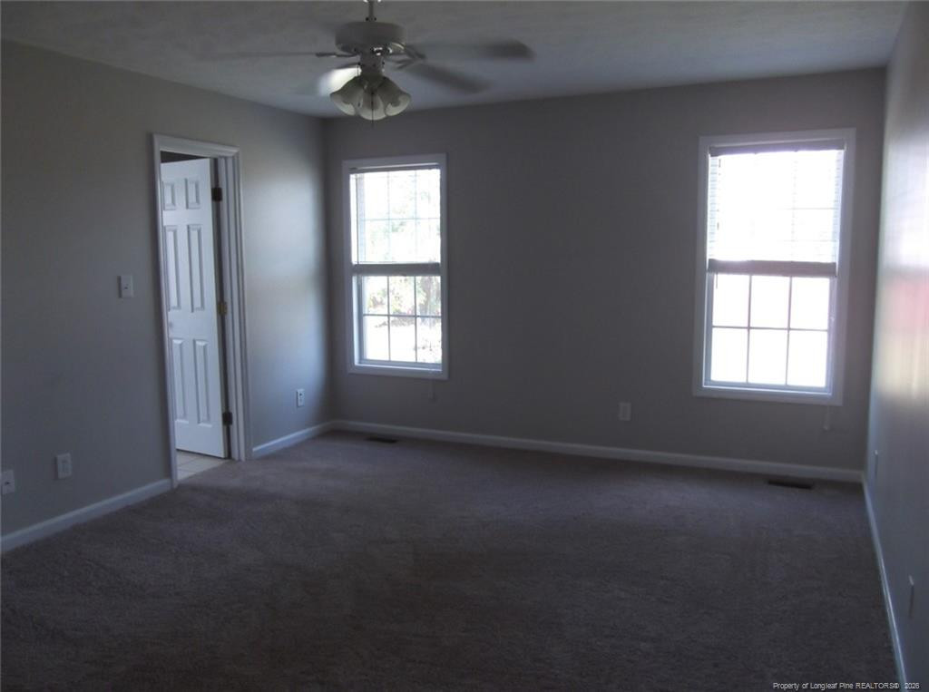 2937 Piney Mountain Drive Property Photo 19