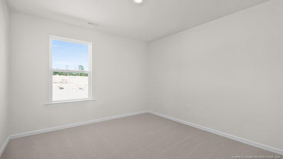 305 Maddox Drive Property Photo 21