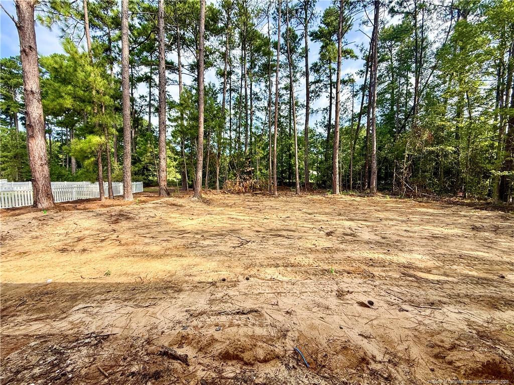 159 Laurel Oak Lane Property Photo 7