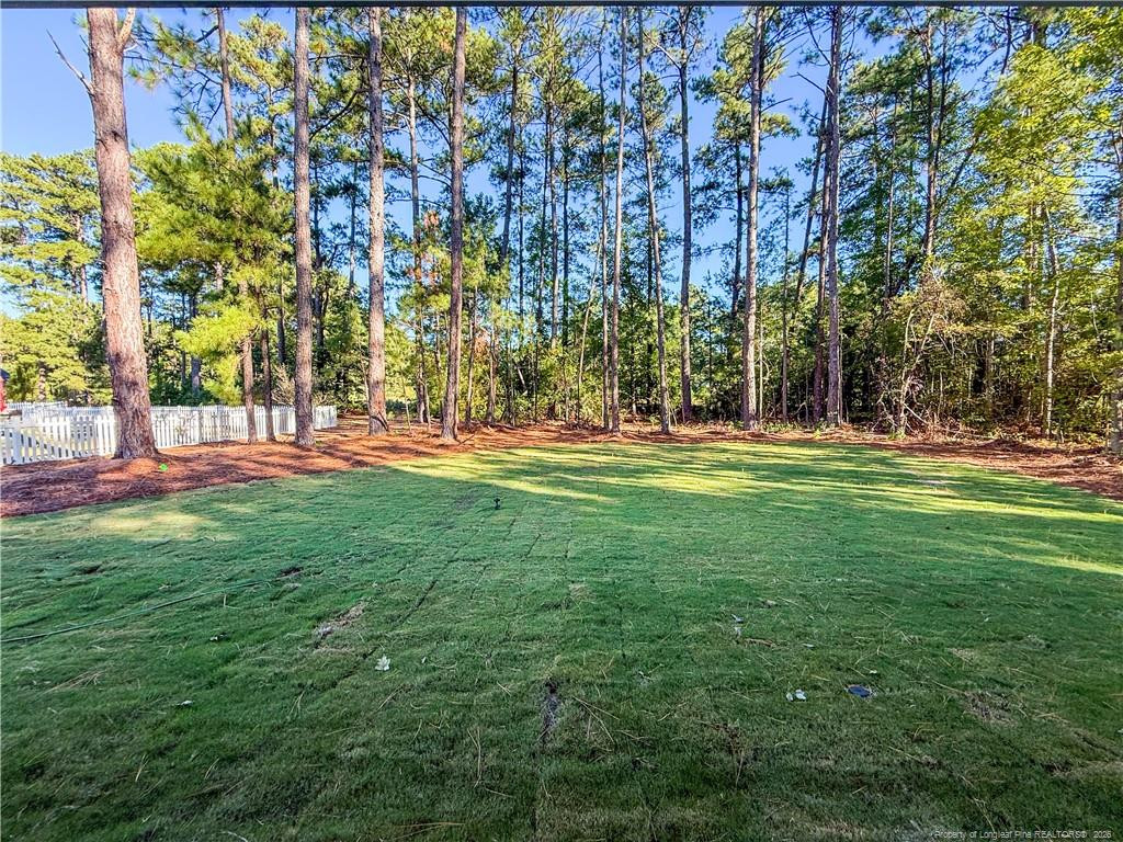 159 Laurel Oak Lane Property Photo 29
