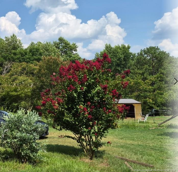 1011 Sweet Raspberry Lane Property Photo 3