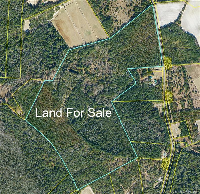 Live Oak Methodist Church Road Property Photo 1