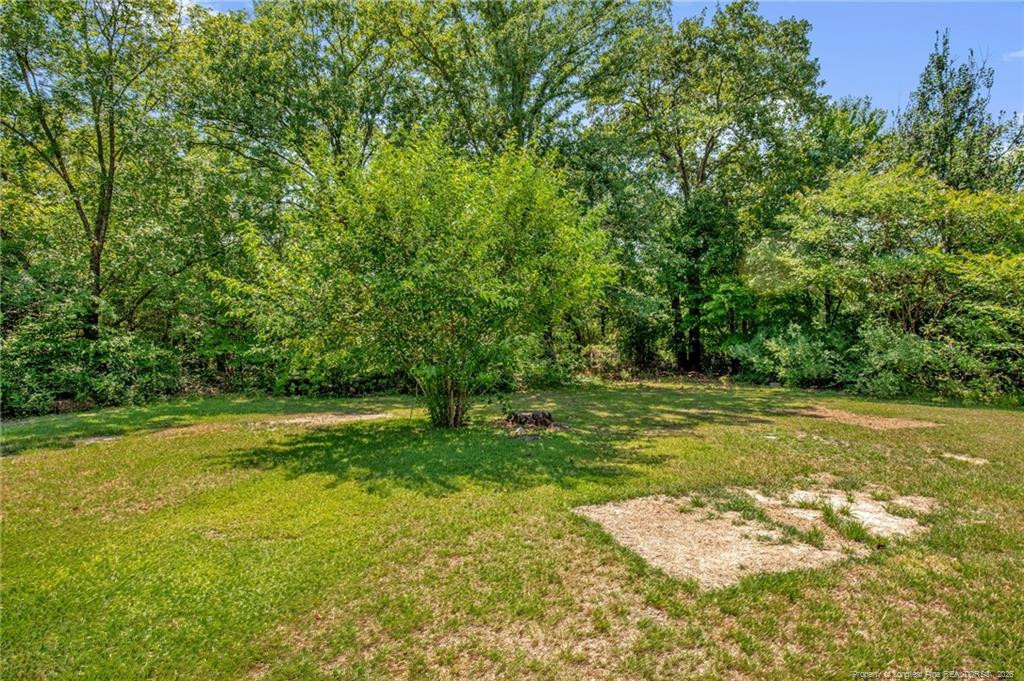 157 Flat Rock Lane Property Photo 35