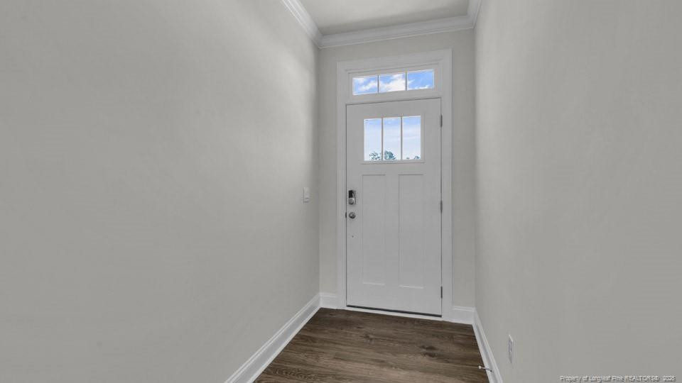 1020 Martin Farms Boulevard Property Photo 2