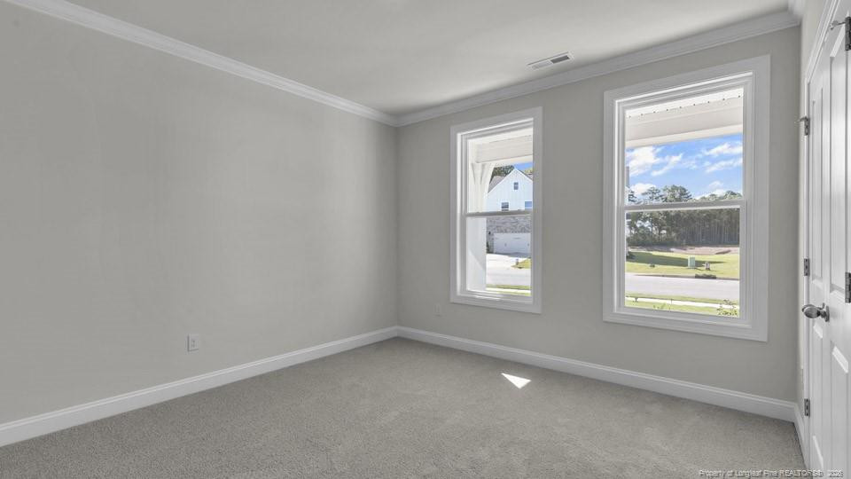 1020 Martin Farms Boulevard Property Photo 20