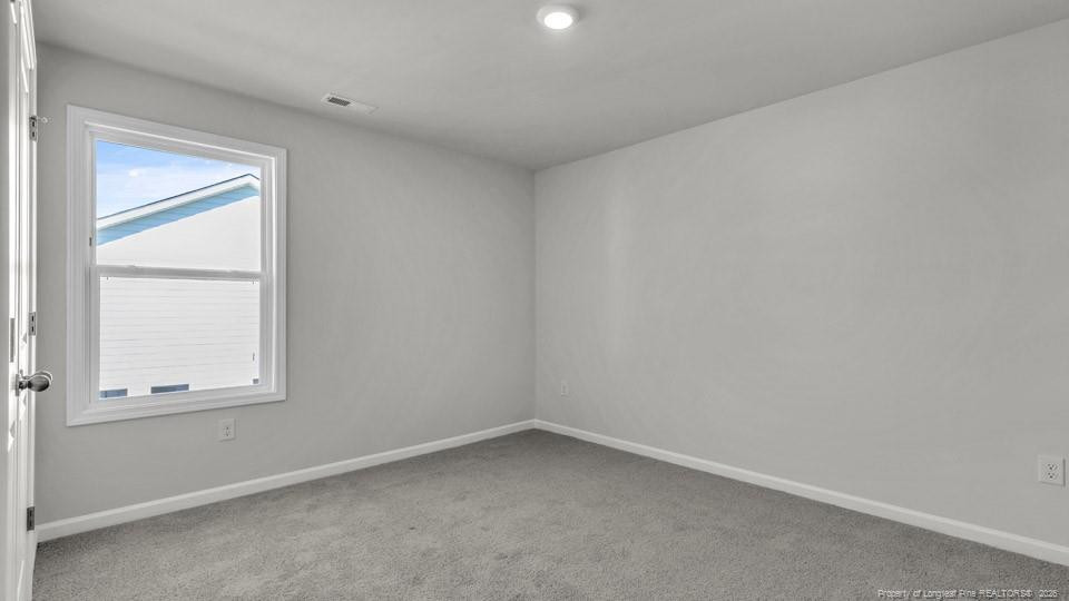 1020 Martin Farms Boulevard Property Photo 24