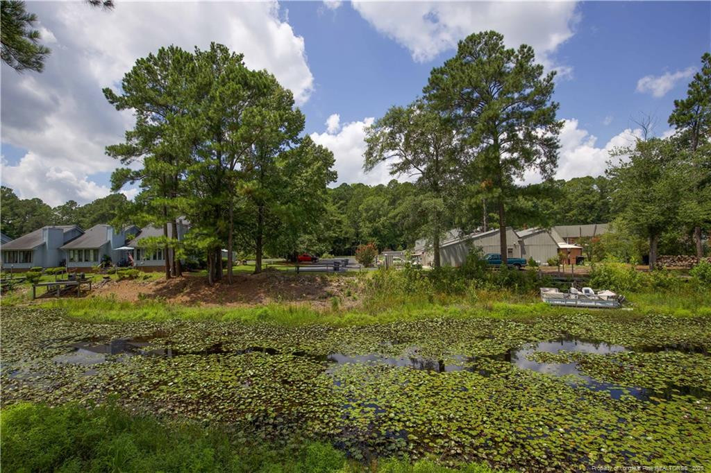 179 Cranes Cove Property Photo 36