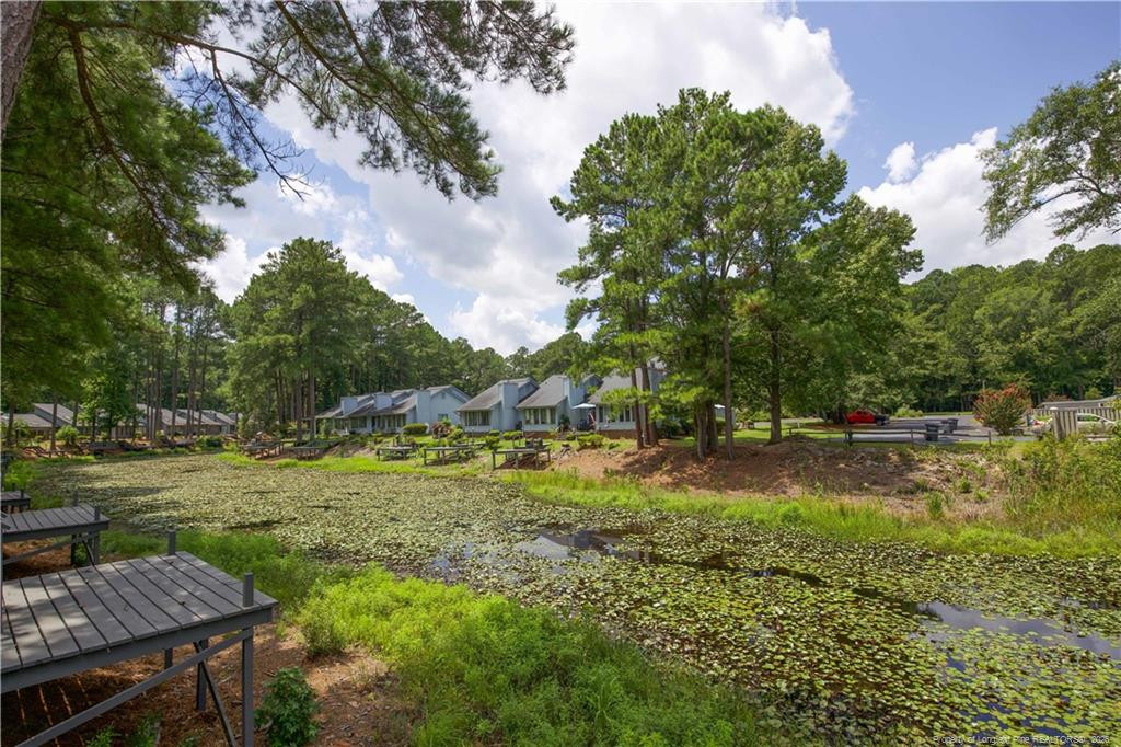 179 Cranes Cove Property Photo 37