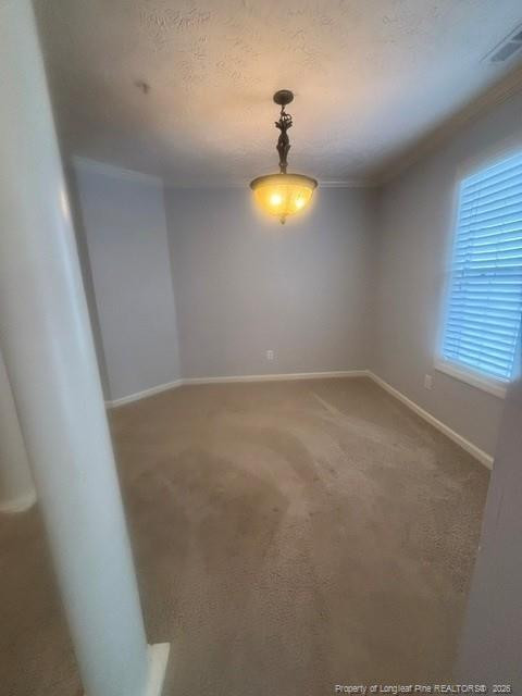 362 Bubble Creek Court 10 Property Photo 4