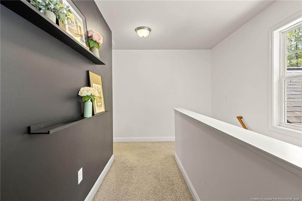 1734 Irish Boulevard Property Photo 28