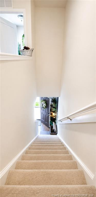 110 Telegraph Lane Property Photo 19